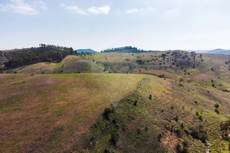 Terreno para Venda em Marmelete Foto 4