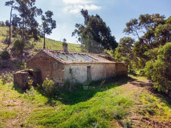 Terreno para Venda em Marmelete Foto 9