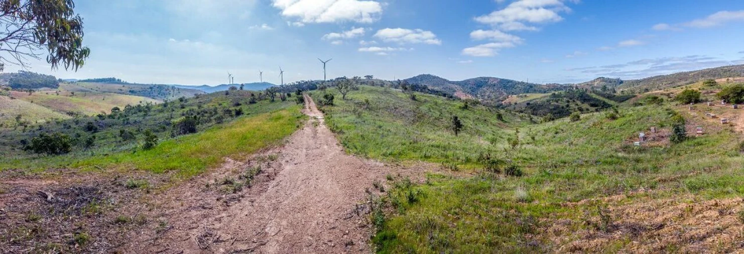Terreno para Venda em Marmelete Foto 6