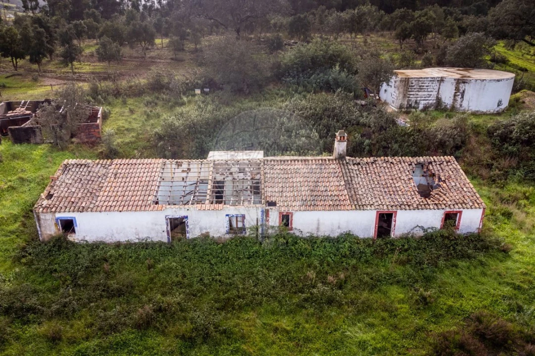 Quinta T0 para Venda em Saboia Foto 4