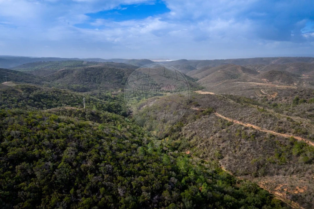 Terreno para Venda em Bordeira Foto 5