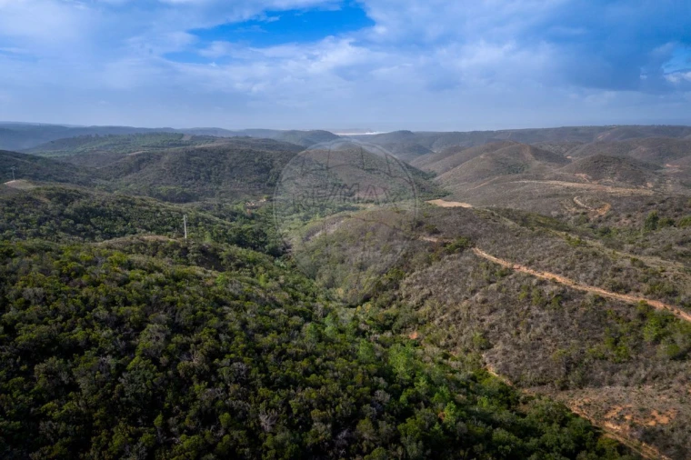 Terreno para Venda em Bordeira Foto 5