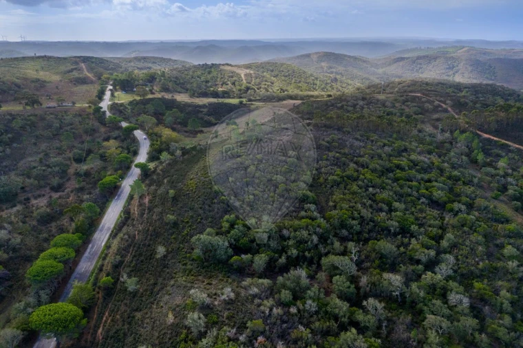 Terreno para Venda em Bordeira Foto 4