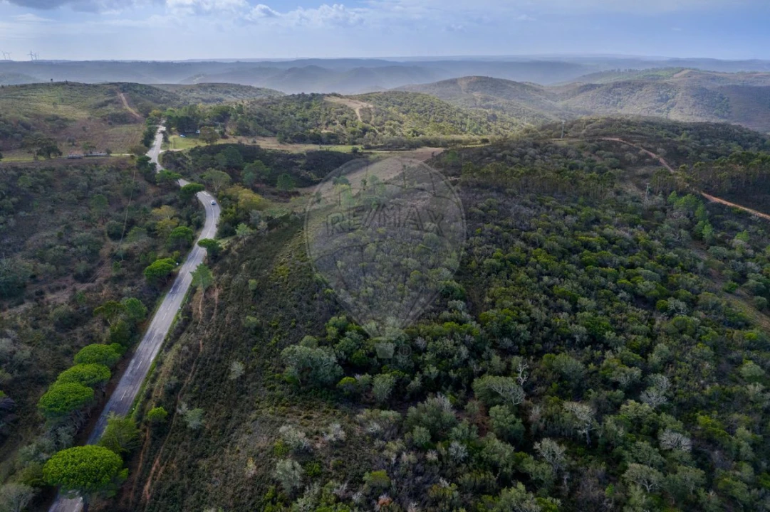 Terreno para Venda em Bordeira Foto 4