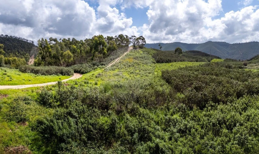 Terreno para Venda em Aljezur Foto 9