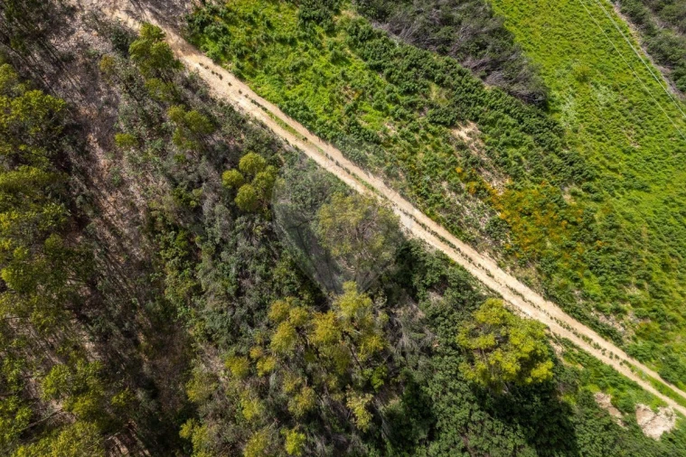 Terreno para Venda em Aljezur Foto 7