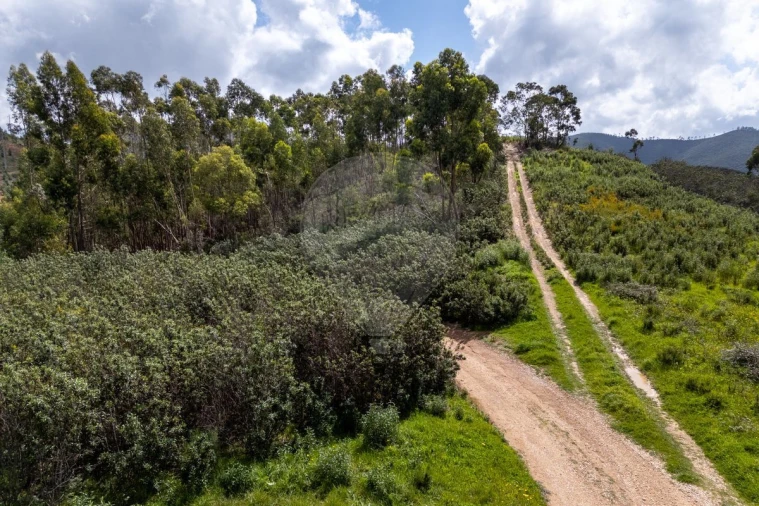 Terreno para Venda em Aljezur Foto 10