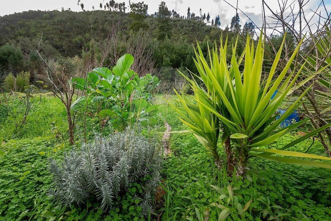 Moradia T4 para Venda em Monchique Foto 38