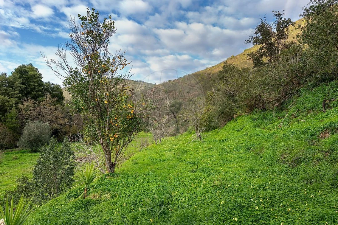 Moradia T4 para Venda em Monchique Foto 37