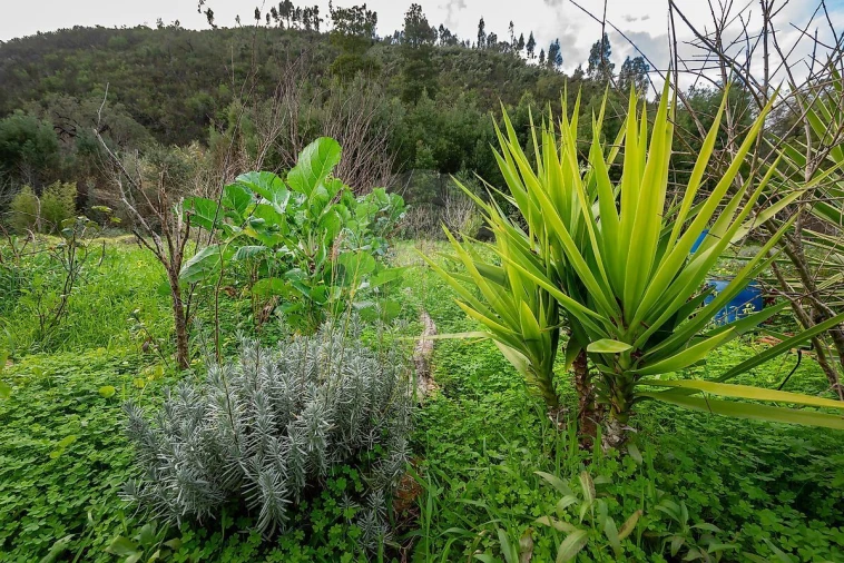 Moradia T4 para Venda em Monchique Foto 38