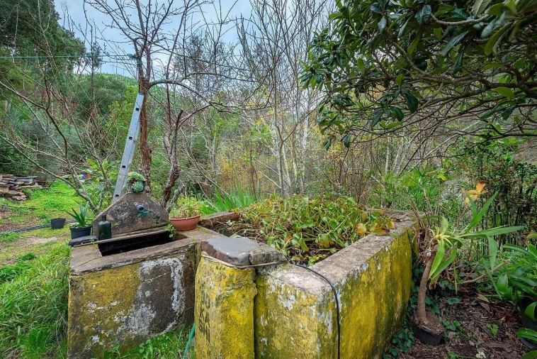 Moradia T4 para Venda em Monchique Foto 19