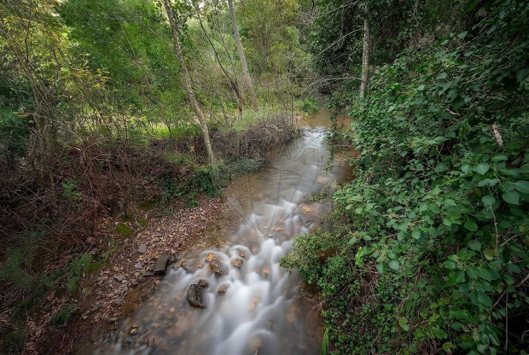 Moradia T4 para Venda em Monchique Foto 41