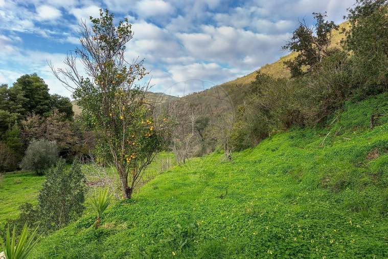 Moradia T4 para Venda em Monchique Foto 37