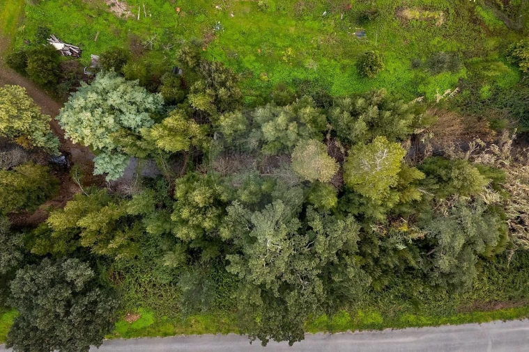 Moradia T4 para Venda em Monchique Foto 40