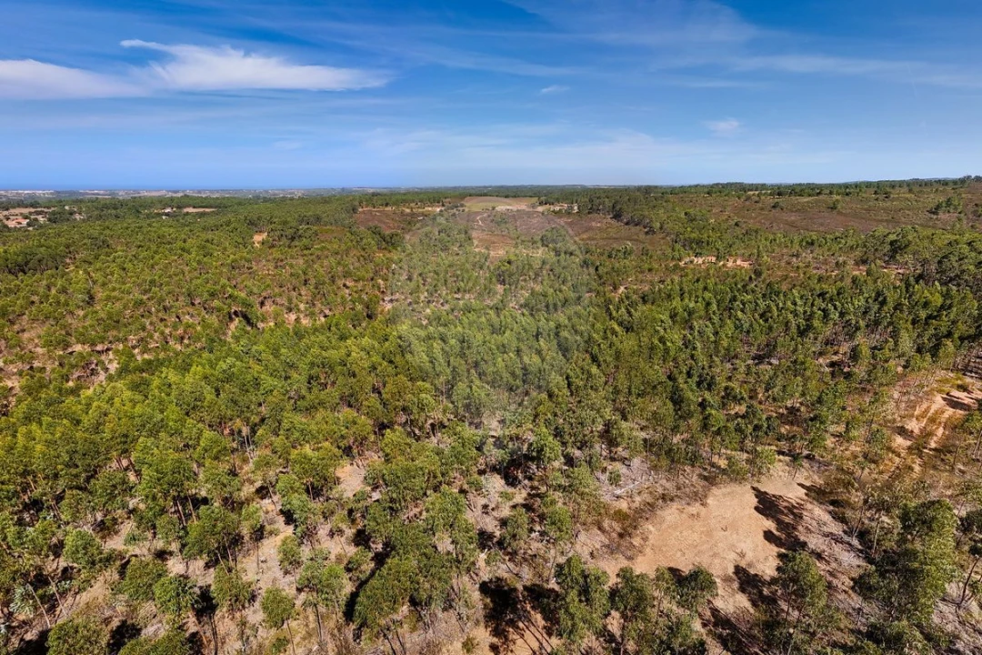 Terreno para Venda em Aljezur Foto 5