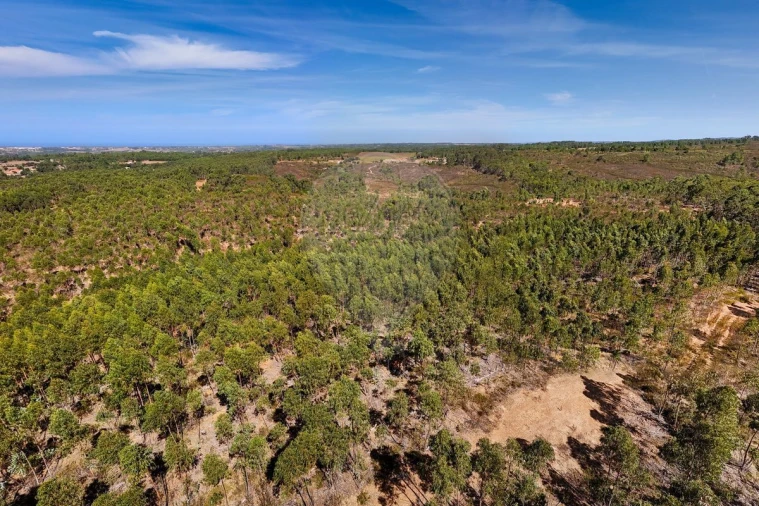 Terreno para Venda em Aljezur Foto 5