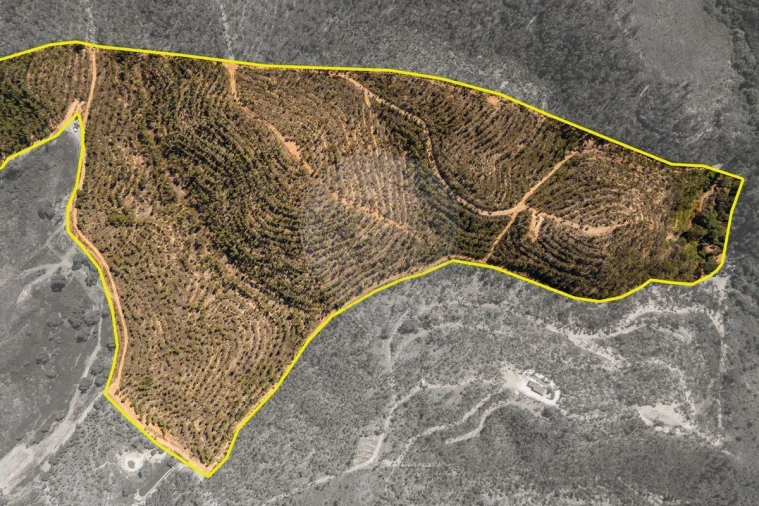 Terreno para Venda em Aljezur Foto 1