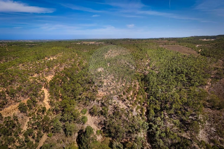 Terreno para Venda em Aljezur Foto 4