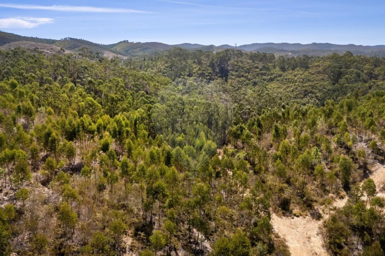 Terreno para Venda em Aljezur Foto 9