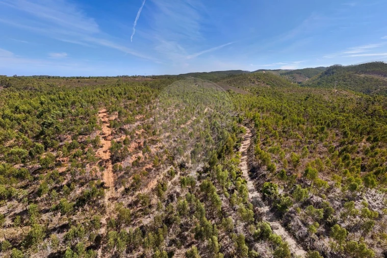 Terreno para Venda em Aljezur Foto 7