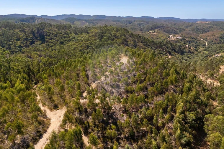 Terreno para Venda em Aljezur Foto 10