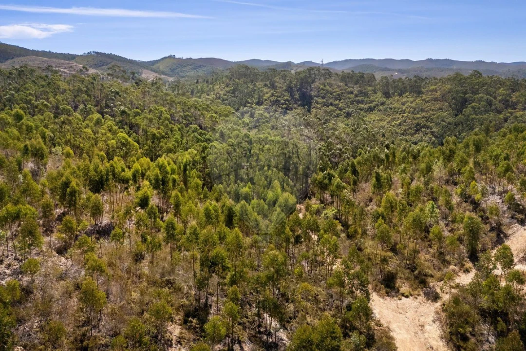 Terreno para Venda em Aljezur Foto 9
