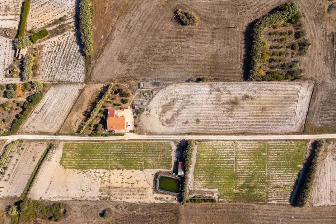 Moradia T3 para Venda em Rogil Foto 2