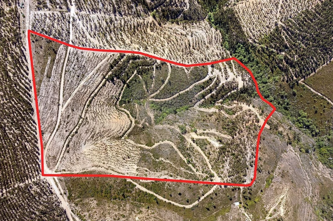 Terreno para Venda em Monchique Foto 1