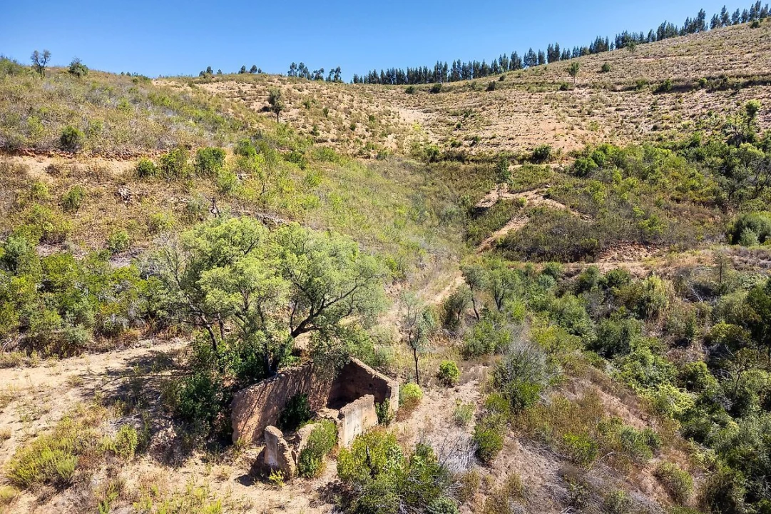 Terreno para Venda em Monchique Foto 9