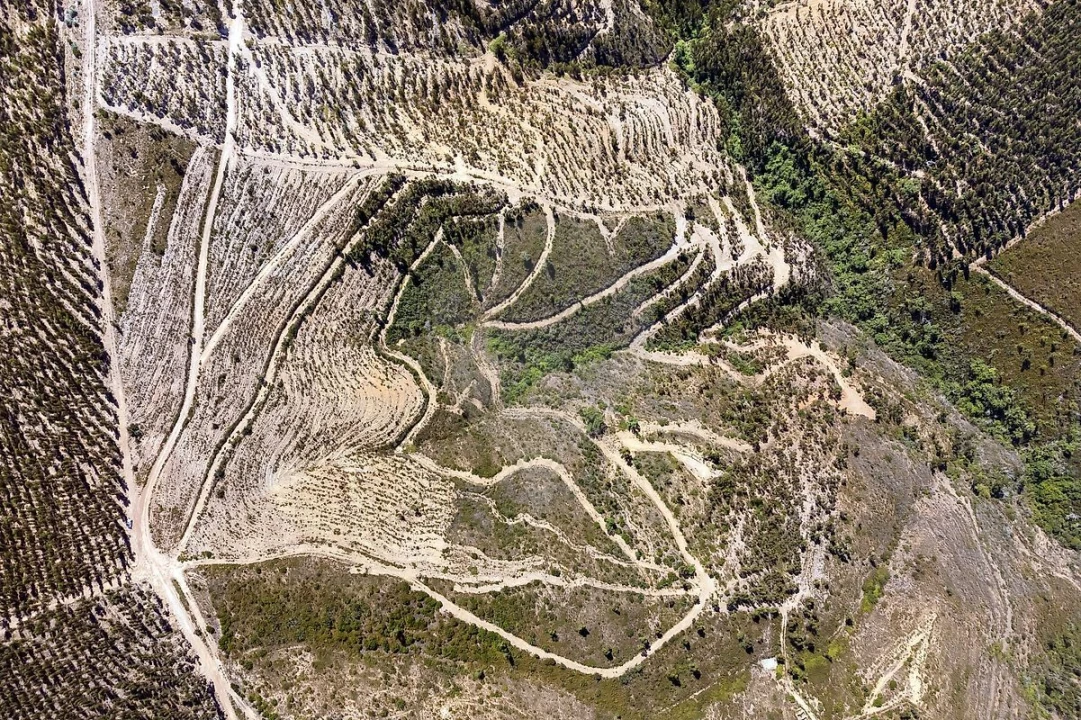 Terreno para Venda em Monchique Foto 6