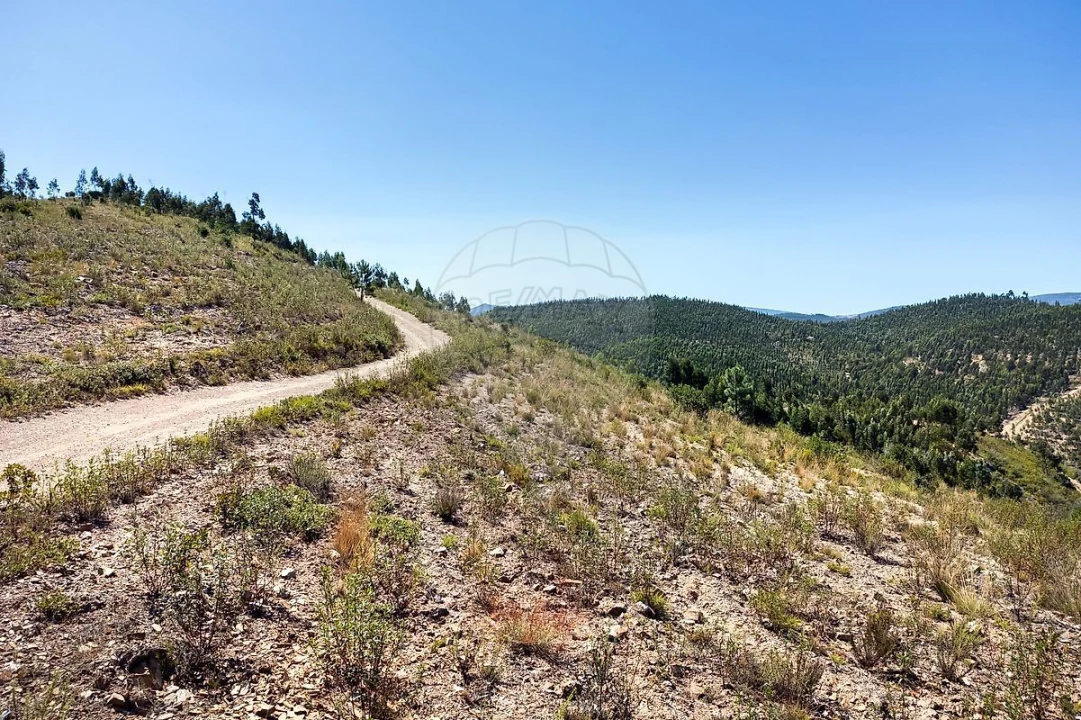 Terreno para Venda em Monchique Foto 7