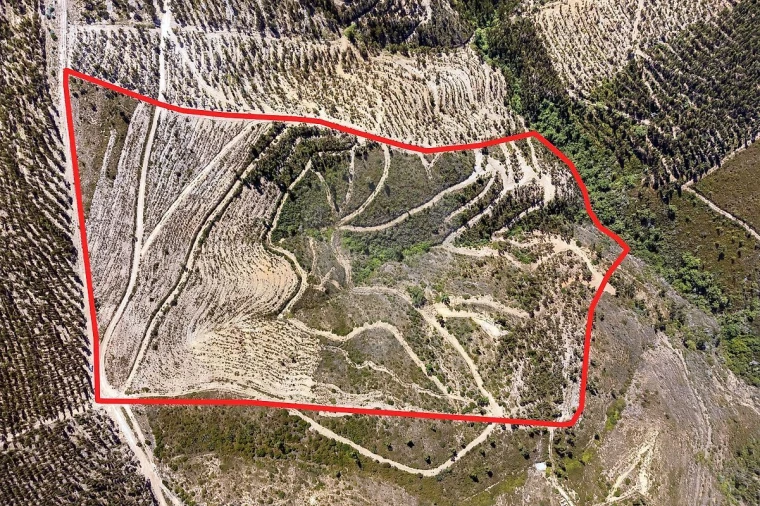 Terreno para Venda em Monchique