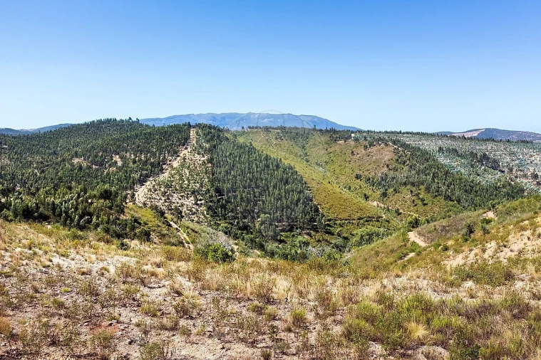 Terreno para Venda em Monchique Foto 8