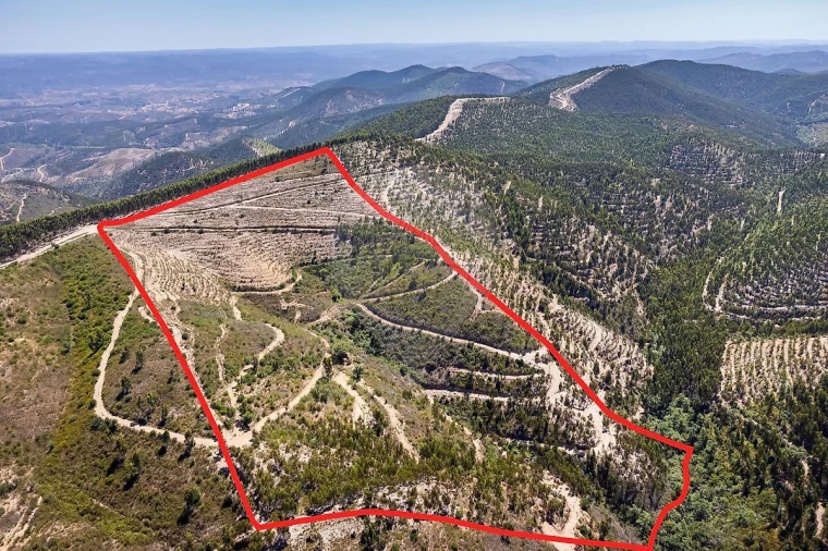 Terreno para Venda em Monchique Foto 5