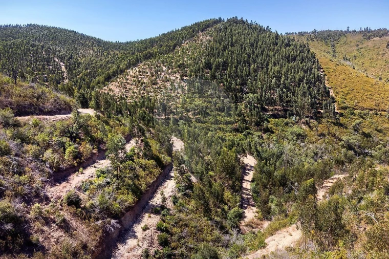 Terreno para Venda em Monchique Foto 3