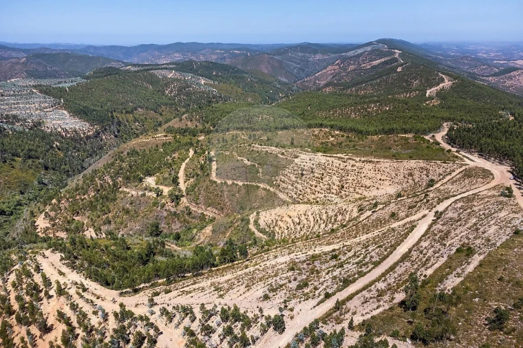 Terreno para Venda em Monchique Foto 4