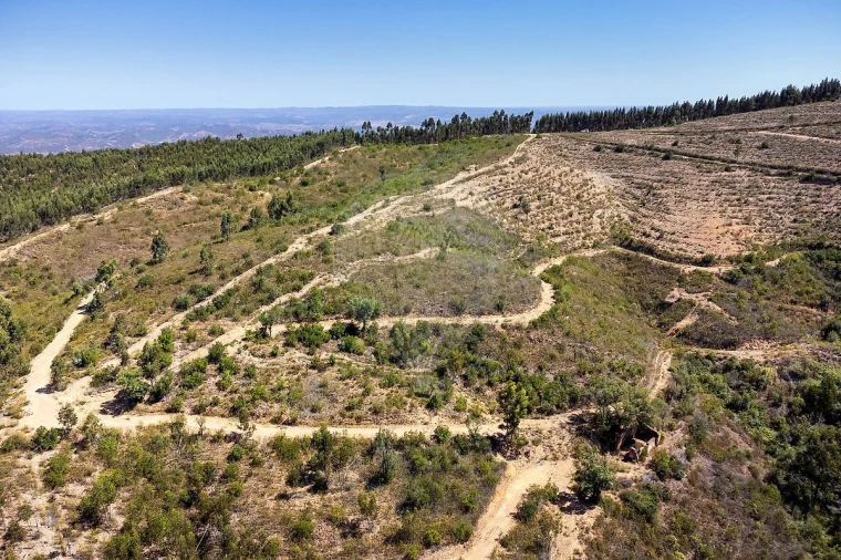 Terreno para Venda em Monchique Foto 11