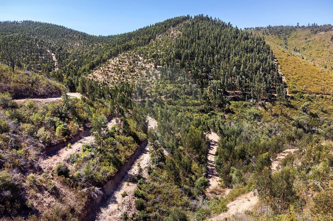 Terreno para Venda em Monchique Foto 3