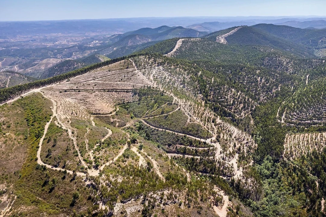Terreno para Venda em Monchique Foto 2