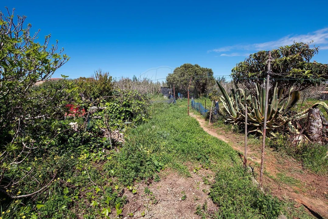 Moradia T4 para Venda em Vila de Sagres Foto 27