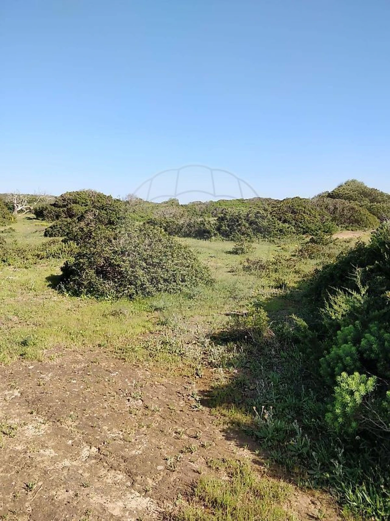 Terreno para Venda em Budens Foto 6