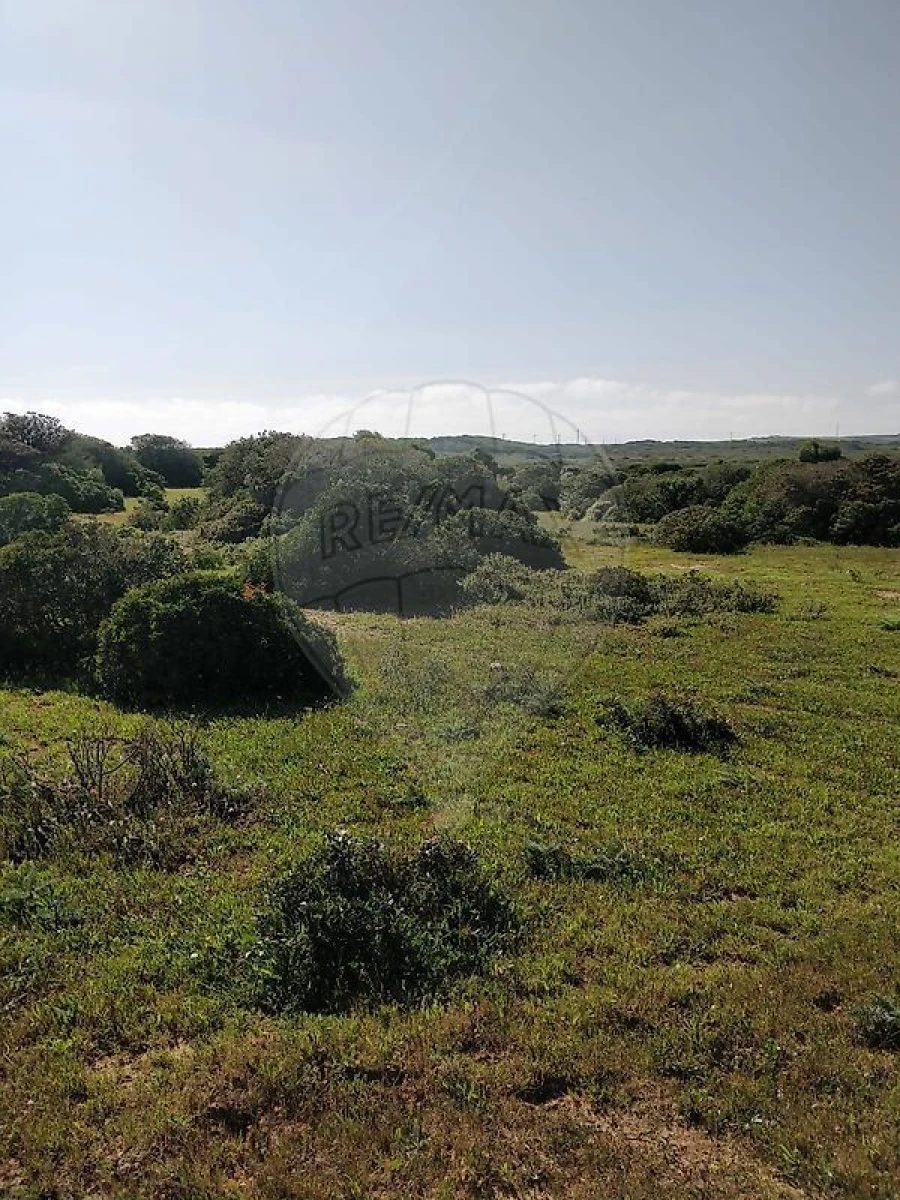 Terreno para Venda em Budens Foto 4