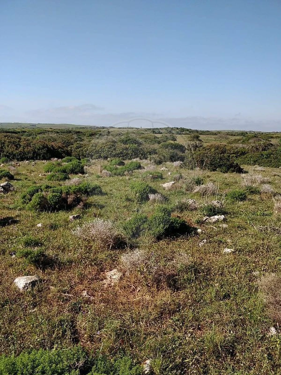 Terreno para Venda em Budens Foto 7