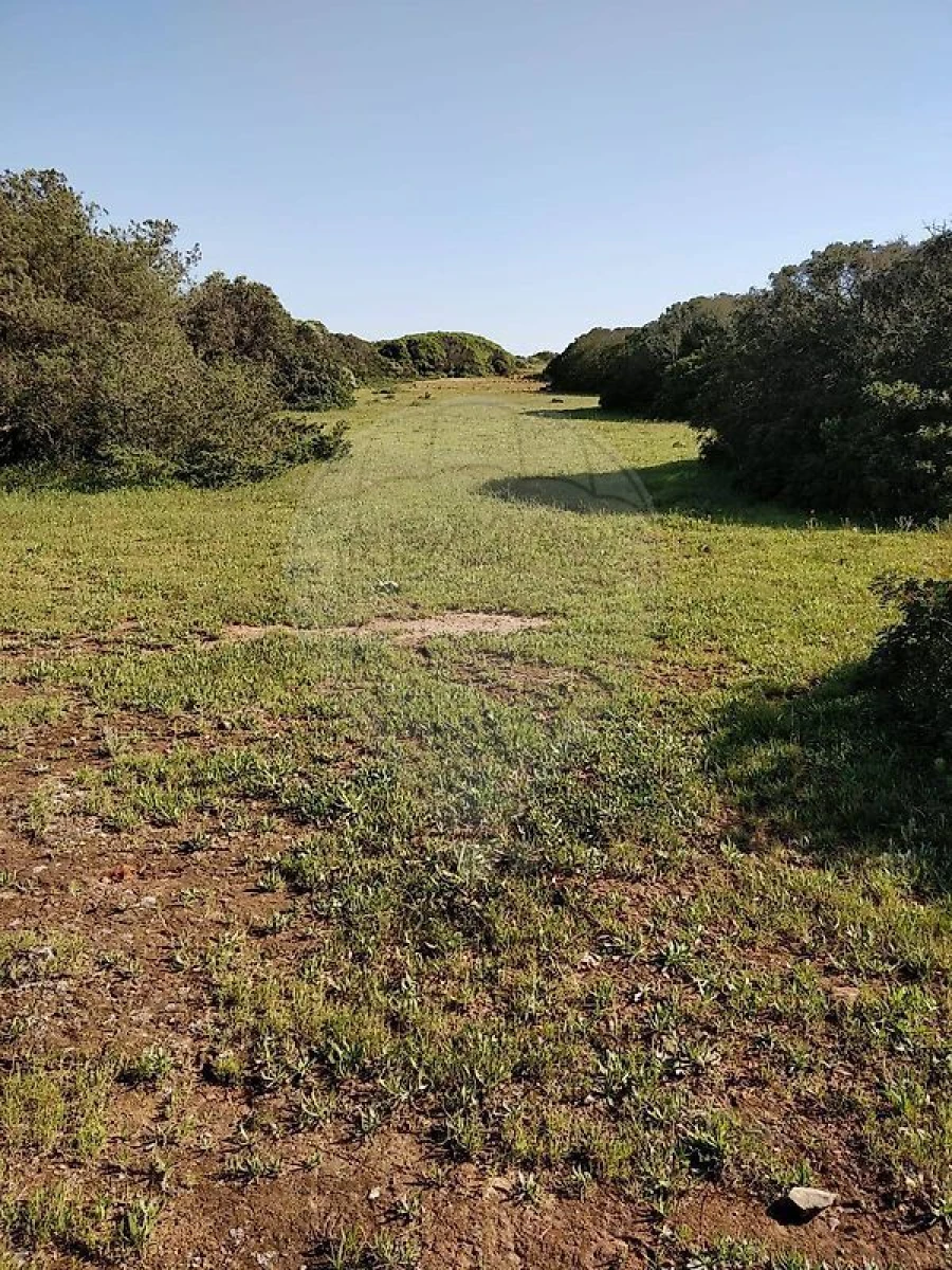 Terreno para Venda em Budens Foto 8