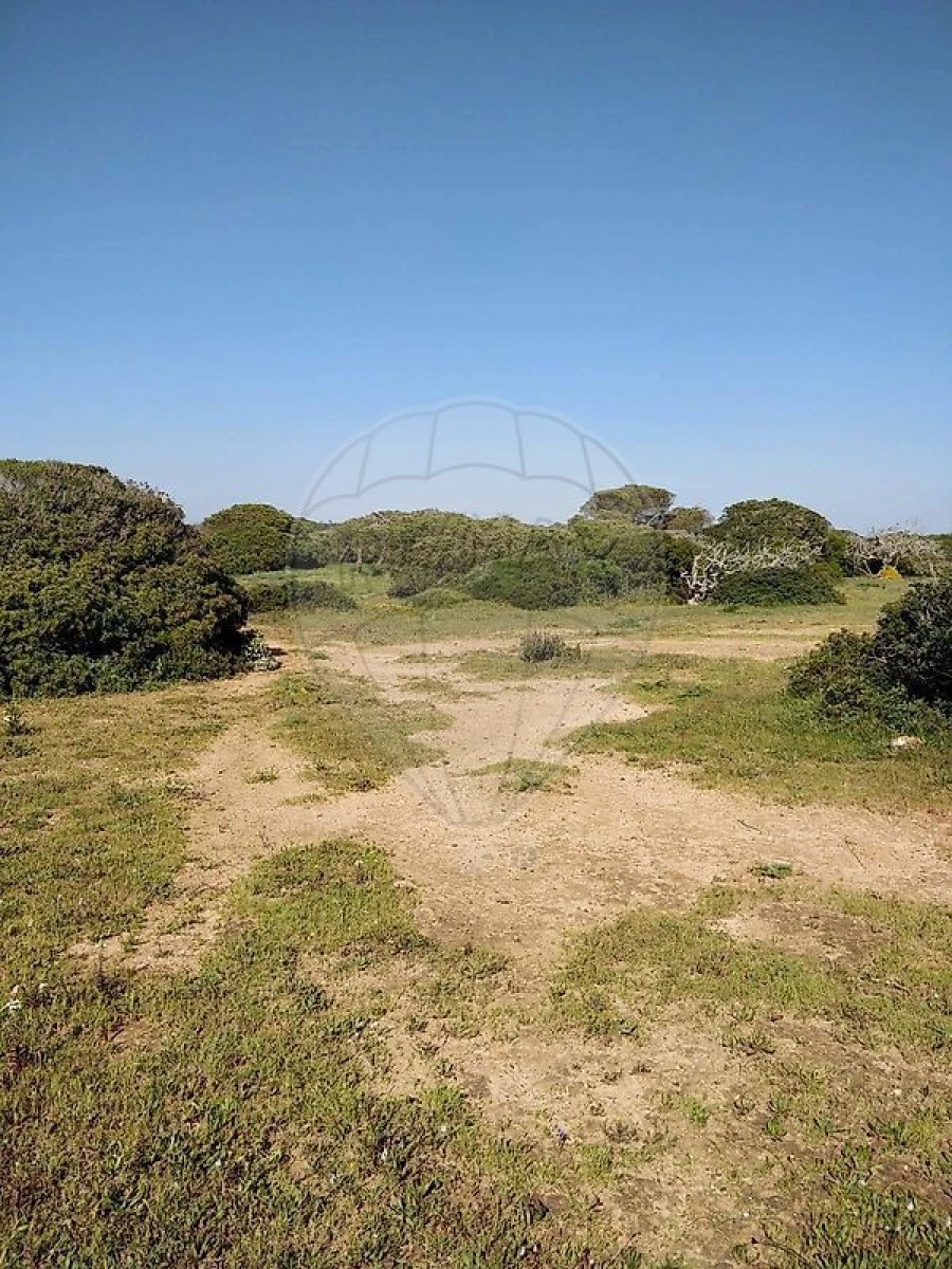 Terreno para Venda em Budens Foto 5