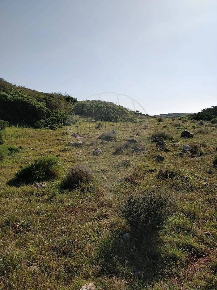 Terreno para Venda em Budens Foto 3