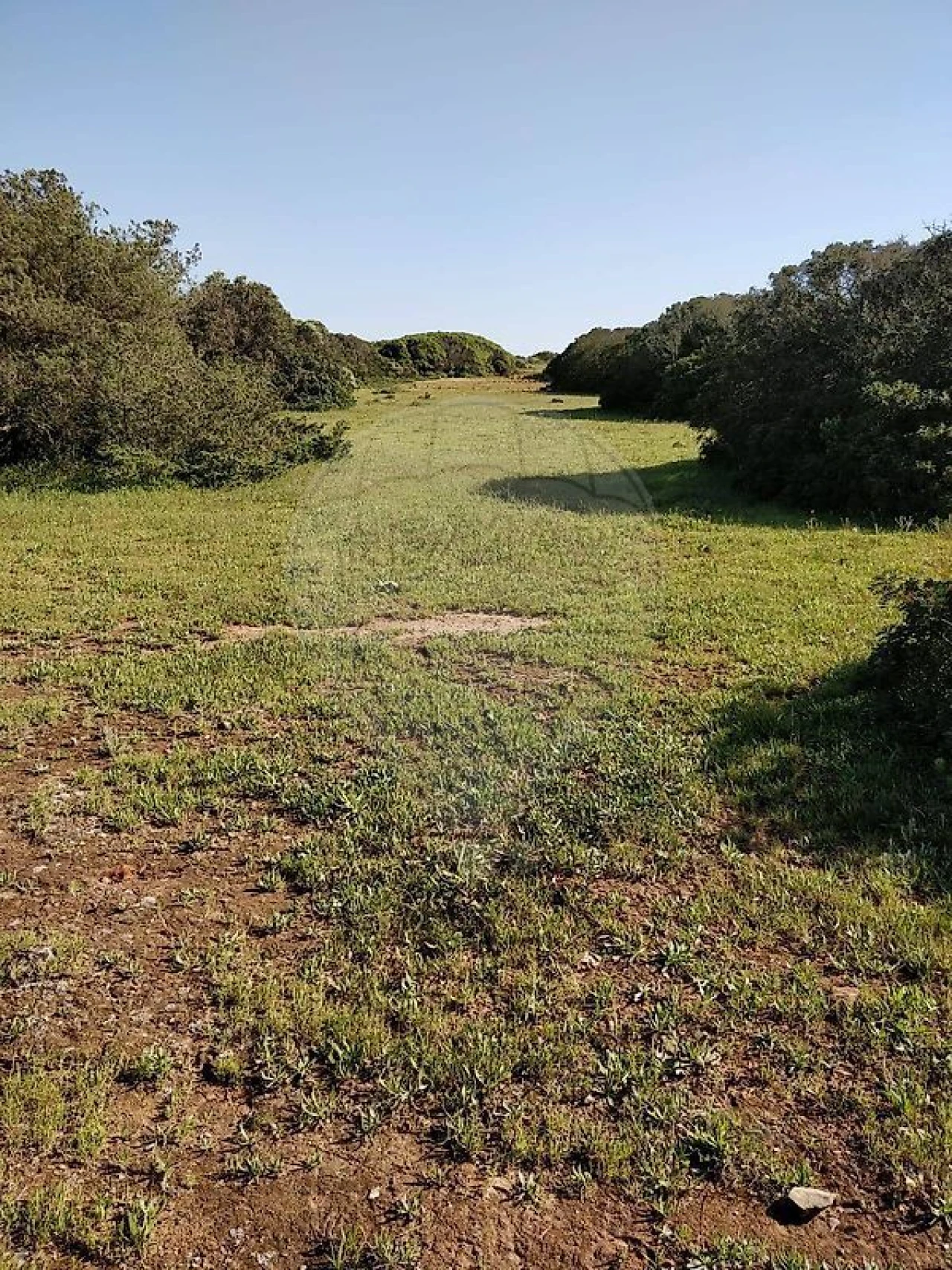 Terreno para Venda em Budens Foto 8