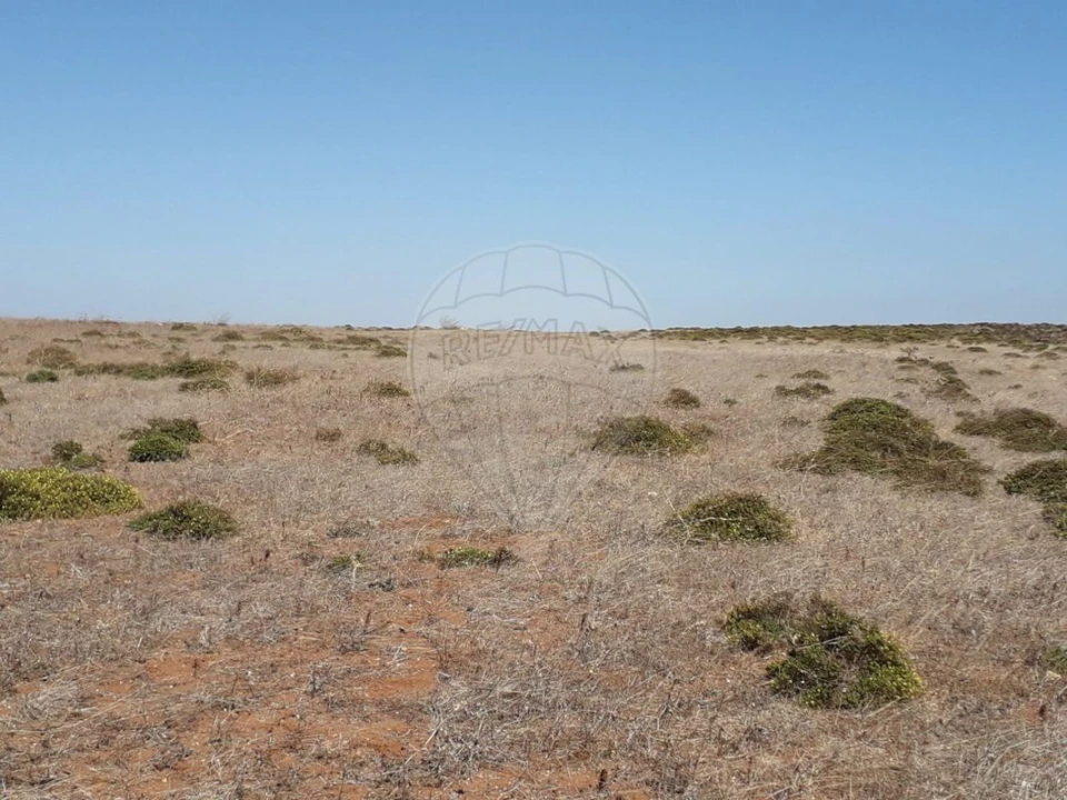 Terreno para Venda em Vila do Bispo e Raposeira Foto 3