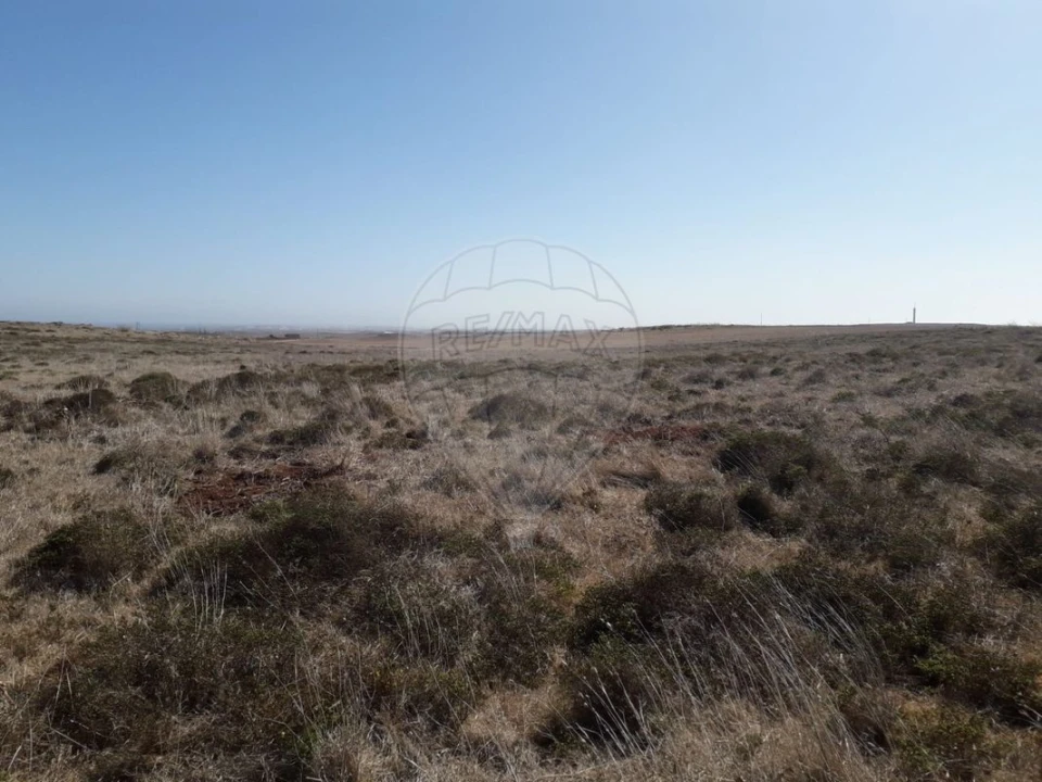 Terreno para Venda em Vila do Bispo e Raposeira Foto 4