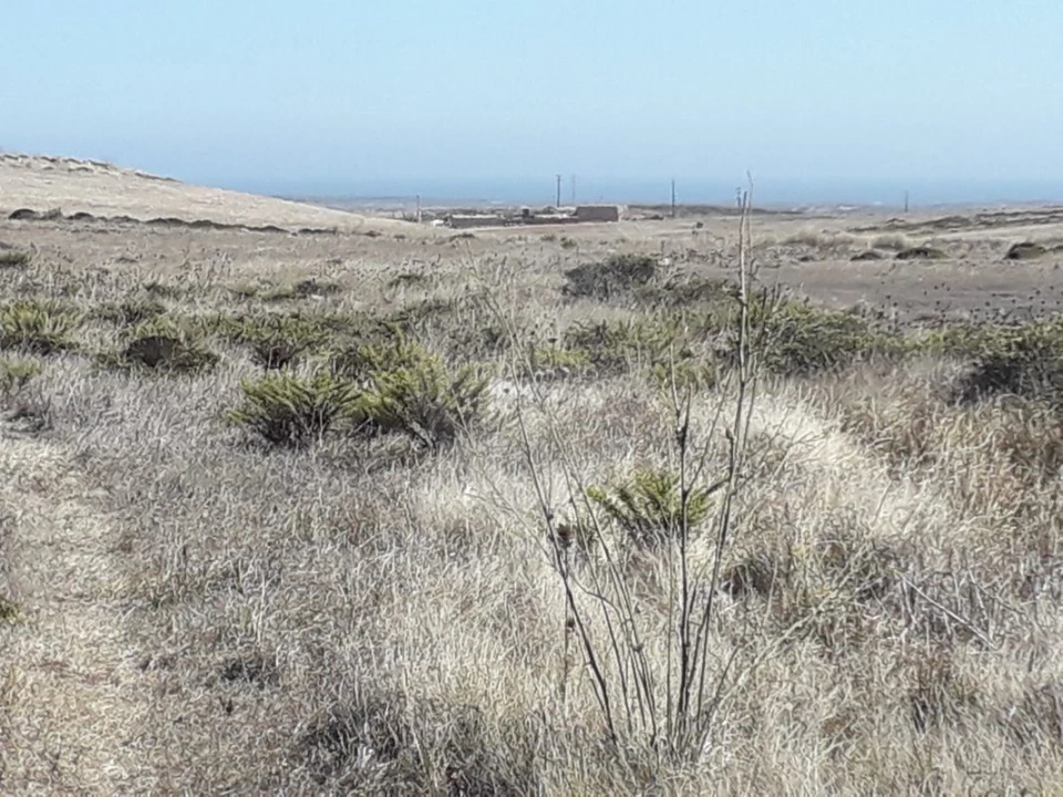 Terreno para Venda em Vila do Bispo e Raposeira Foto 1